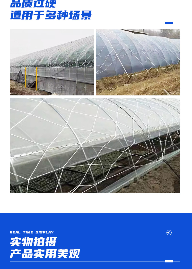 大棚防风网 种植养殖挡风尼龙大棚网大孔压膜防护网封车网 防风网详情7