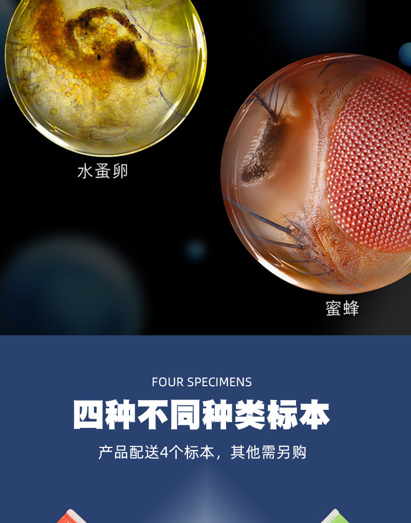 儿童便携式手持显微镜180倍生物标本放大镜学生科学科教实验玩具详情11