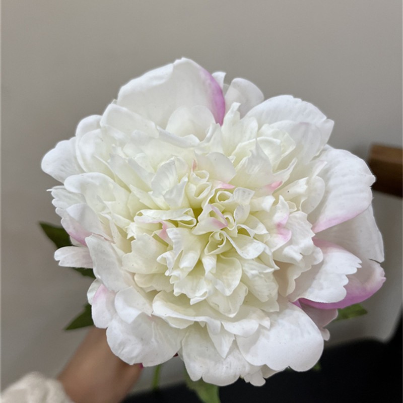 2025-05-28 00:46:36.jpg