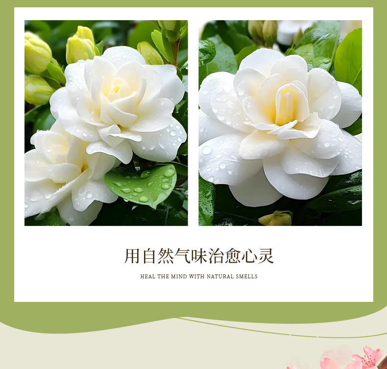 新款永生花花艺香薰家用房间卧室内持久留香栀子花香香熏精致摆件详情14