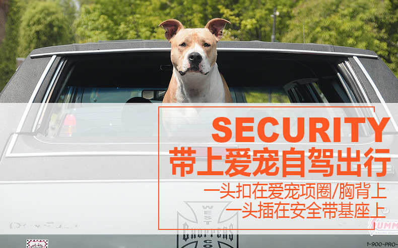 New pet supplies: leopard print car seat belts, camouflage traction ropes, foreign trade supplies, car pet seat belts pic 3