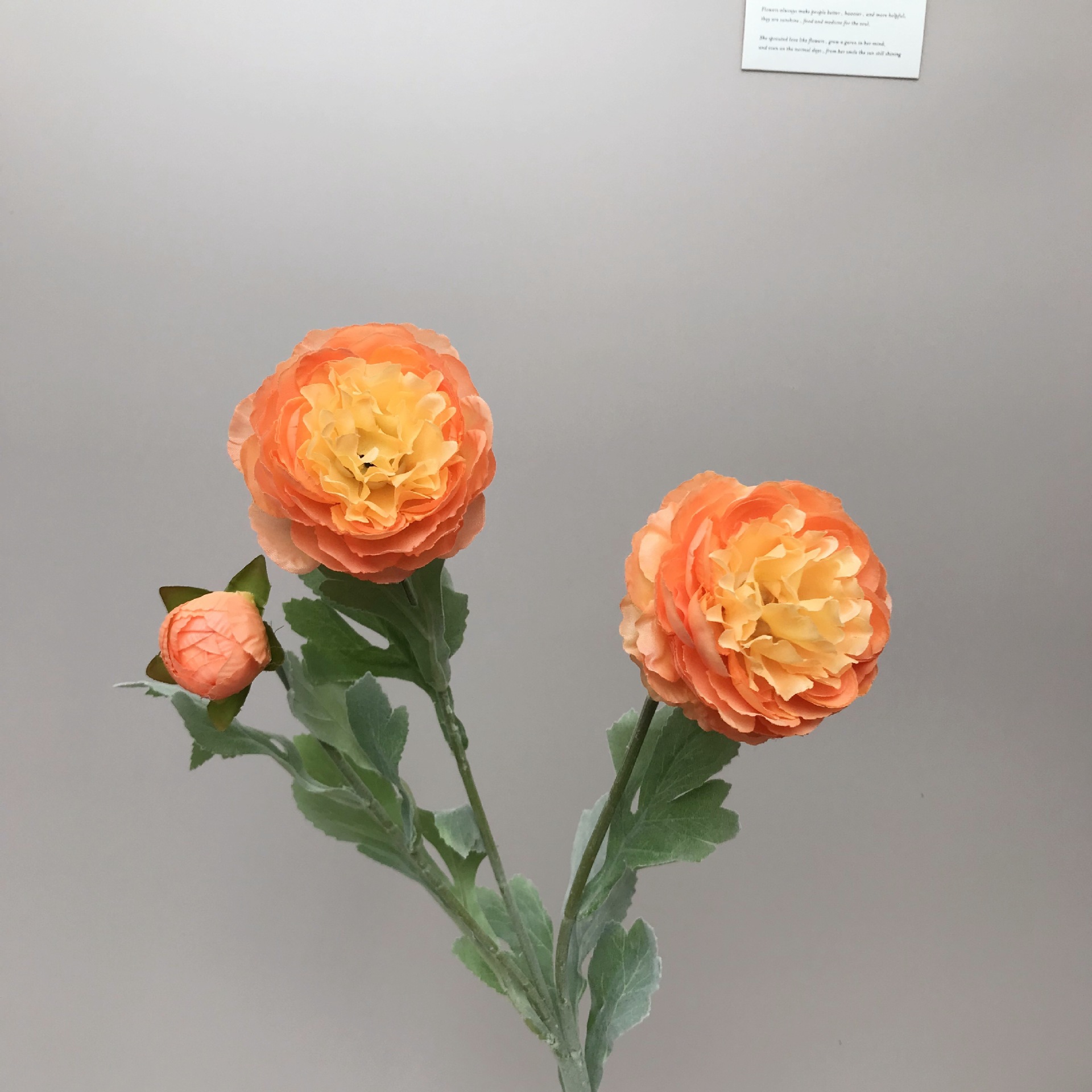 仿真花高级感逼3头洋牡丹露莲植绒场景布置家居装饰绢花批发假花详情9