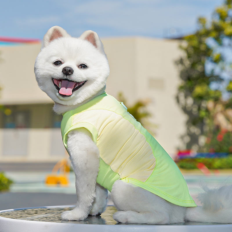 春夏季狗狗用品猫咪冰丝猫背心小中型犬外出防晒狗衣服宠物衣服详情30