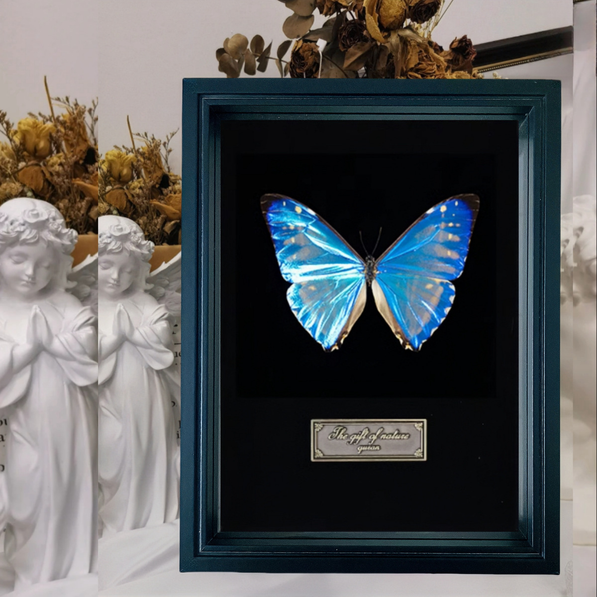相框中空标本框木质玻璃立体黑色蝴蝶昆虫装裱自装摆台展示画框详情34