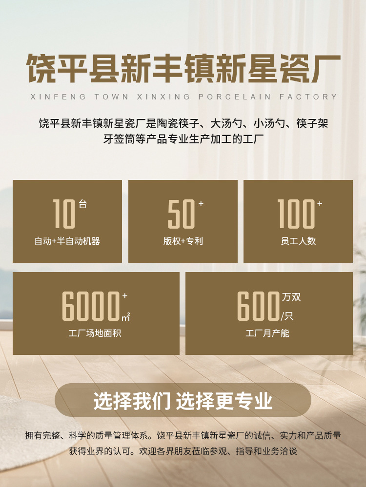 青花百鸟陶瓷筷子家用新中式复古青花瓷筷高档抗菌防霉筷勺套装国潮详情1