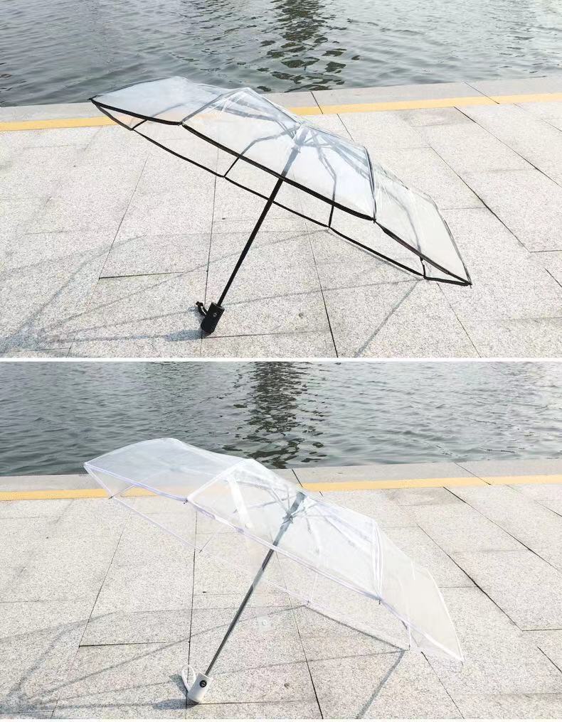 韩系透明雨伞折叠伞全自动ins系列男女款三折伞小清新加厚加固无详情18