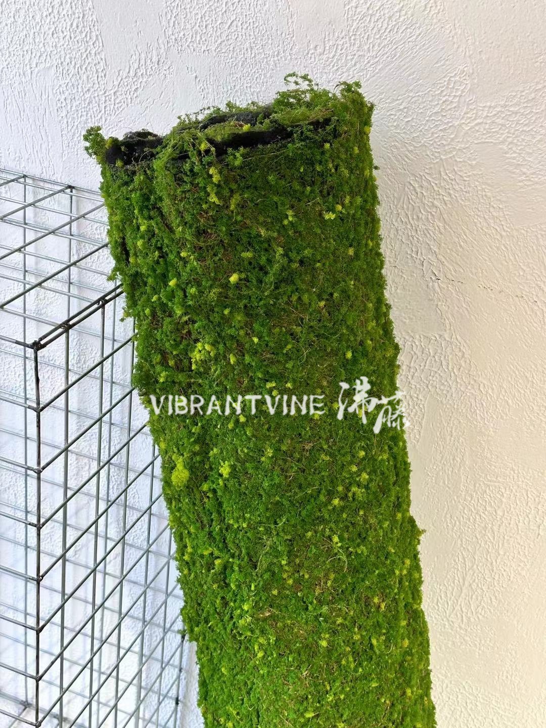 仿真绿植青苔藓皮青苔坪橱窗软装苔藓绿地墙面植物墙装饰人造草坪详情5