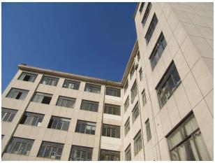 跨境异想天开创意舞王鸭冰鸭火鸭搞怪鸭派对桌面树脂摆件工艺品详情8