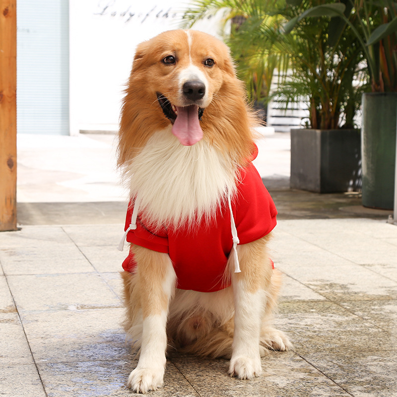 Otoño e invierno peluche de oro cremallera de bolsillo sudaderas grandes y medianas para perros perros ropa de gato fardo suministros para mascotas pic 18