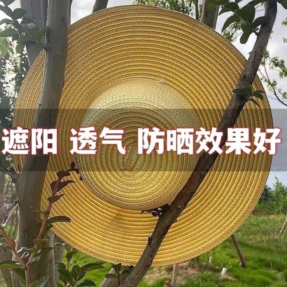 国潮草帽夏季男女遮阳防晒帽子儿童绘画帽可印字劳保大檐草帽批发详情10