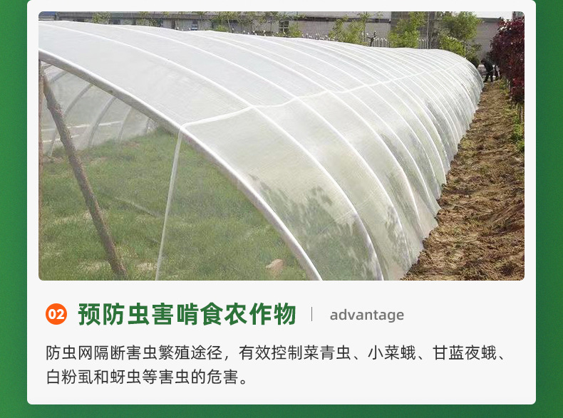 聚乙烯防虫网代发大棚防虫网60目果园防虫网罩跨境裁片防虫网详情6