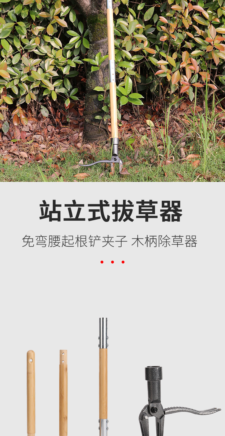 New type of standing lawn mower, weeding device, root remover, manual non-bending root remover, clamps, wooden handle weeding device pic 3