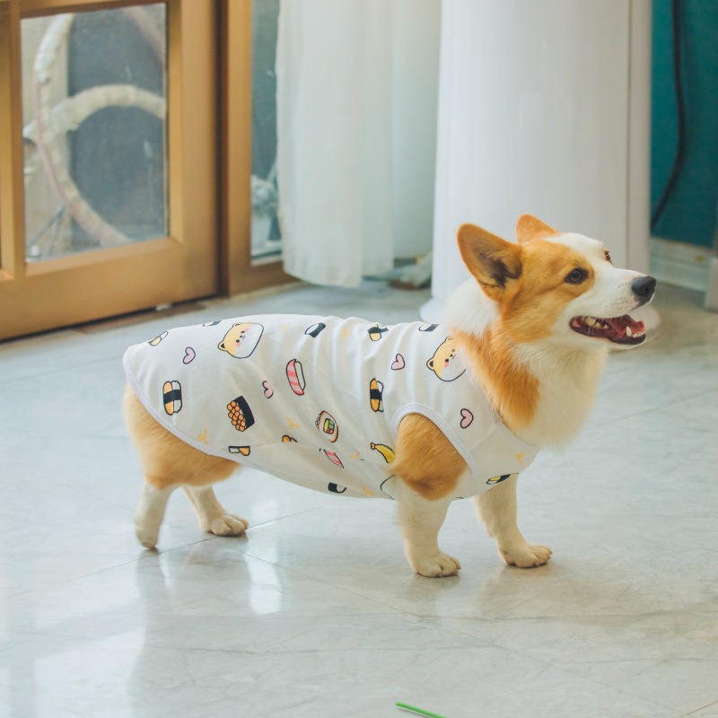 狗狗背心四季款宠物T恤可爱卡通狗狗服装印花中型犬幼犬现货批发详情16
