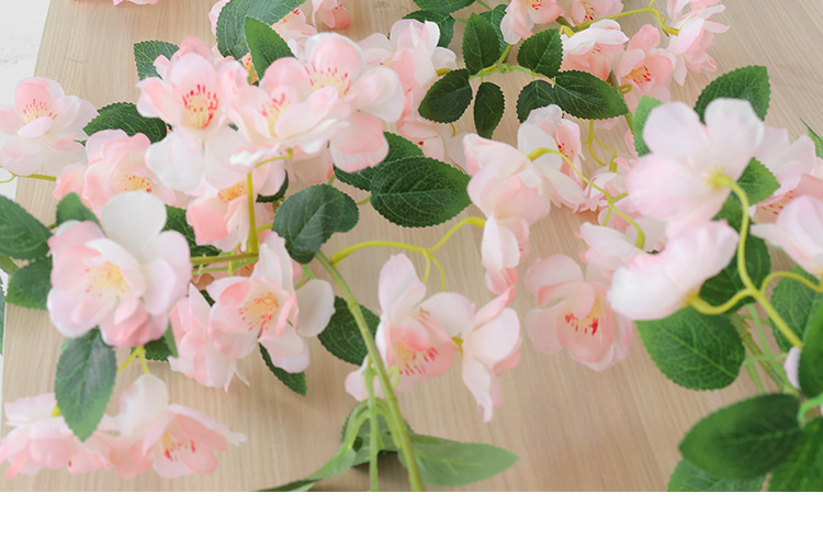 樱花_12.jpg