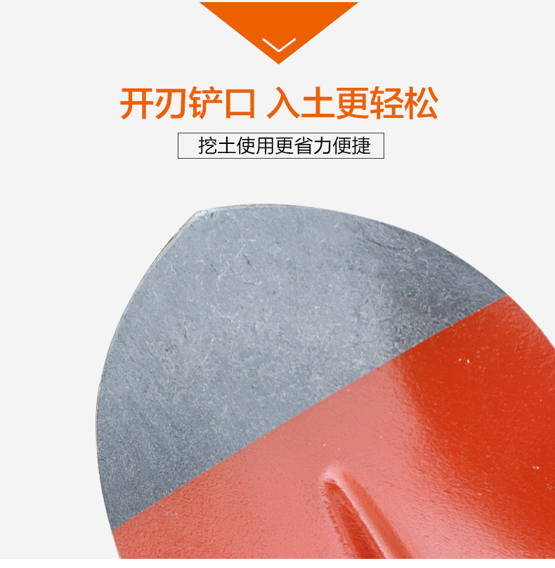 铁锹锰钢全钢加厚木柄钢锹煤锹种花尖方平头锹农用泥锹园林工具详情10