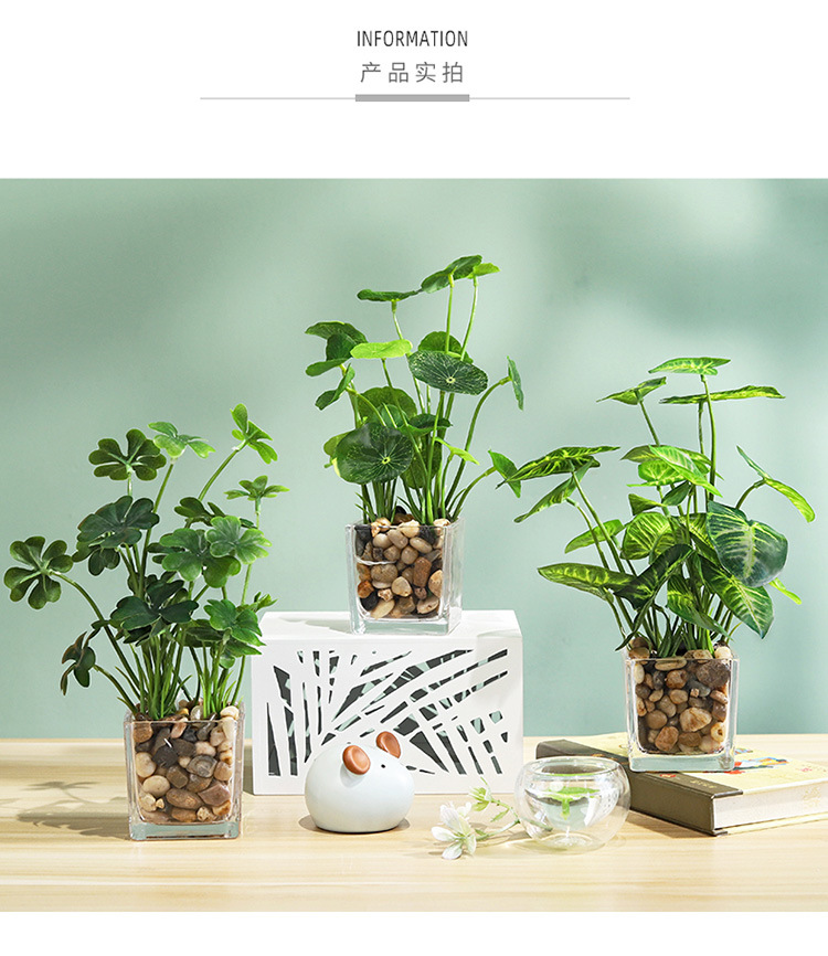 北欧ins假花绿植盆栽摆件家居客厅室内装饰迷你植物盆景详情19