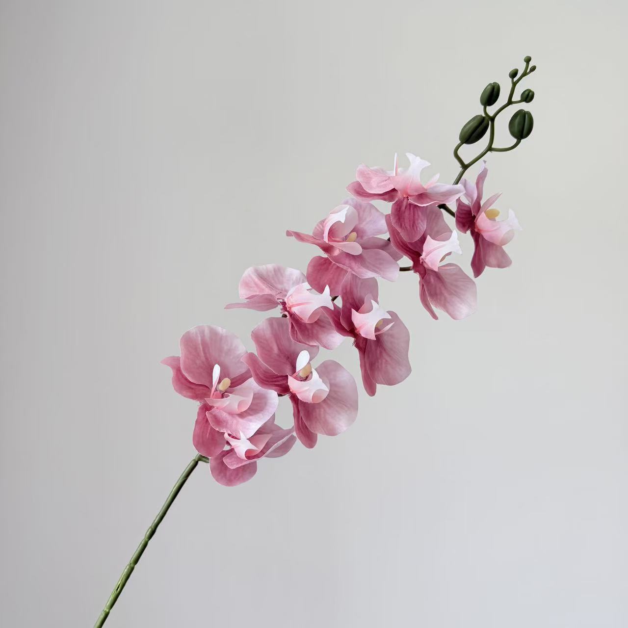 9头蝴蝶兰仿真花手感高级感逼真假花兰花艺场景布置酒店婚庆用花详情31