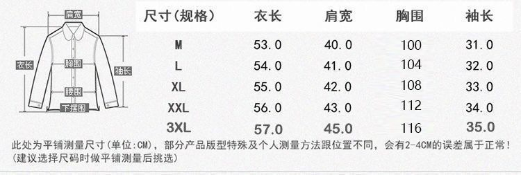 2024夏天薄款棉麻短袖文艺复古刺绣上衣女显气质透气t恤圆领衬衫详情1