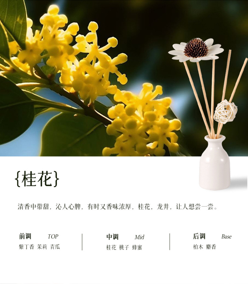 热销薰衣草无火香薰套装可定 藤条陶瓷精油挥发香薰香水厂家批发详情22