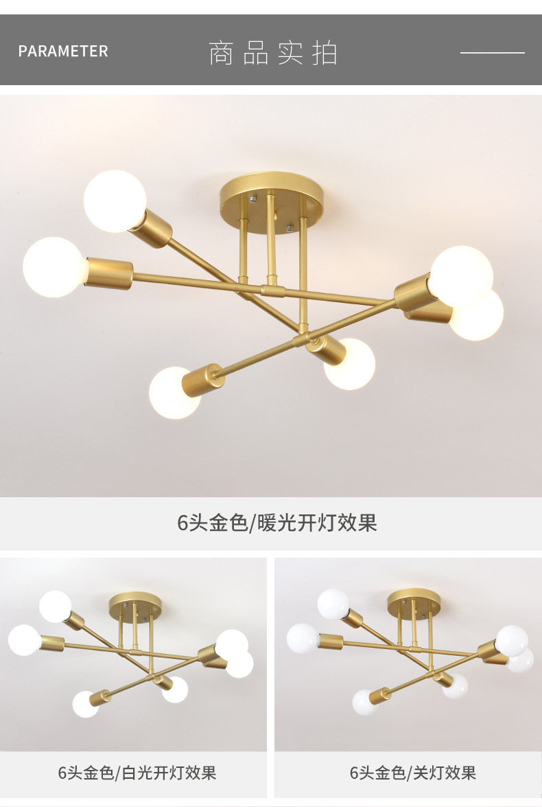 Cross-border Nordic living room lighting, dining room lighting, bedroom home decoration lighting, LED ceiling lighting, American black chandelier pic 8