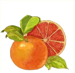 一级节能小冰箱家用小型租房宿舍用冷藏冷冻迷你办公室用能效双门详情9