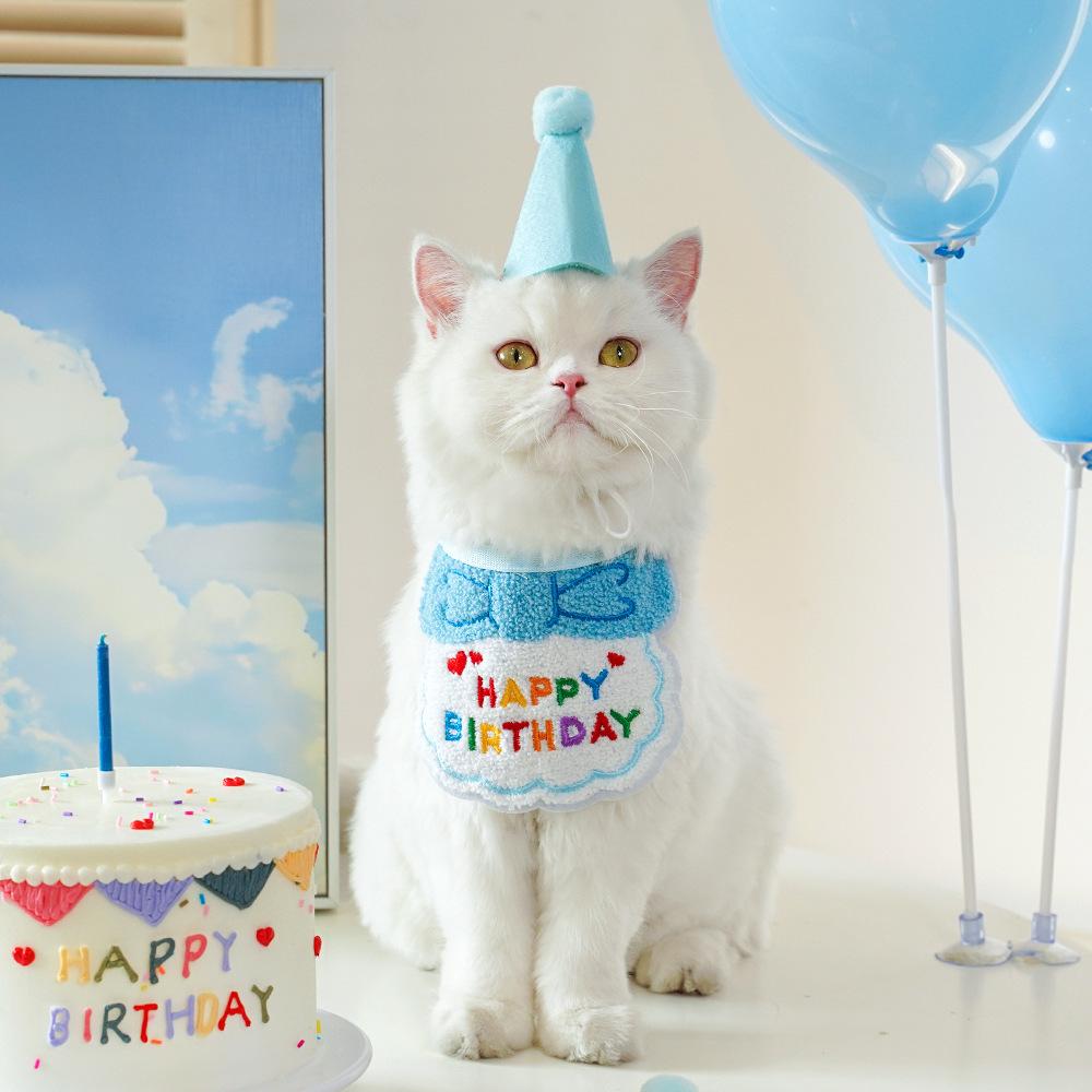 跨境宠物狗狗猫咪生日装扮围兜派对用品口水巾毛毡帽子厂家直销详情10