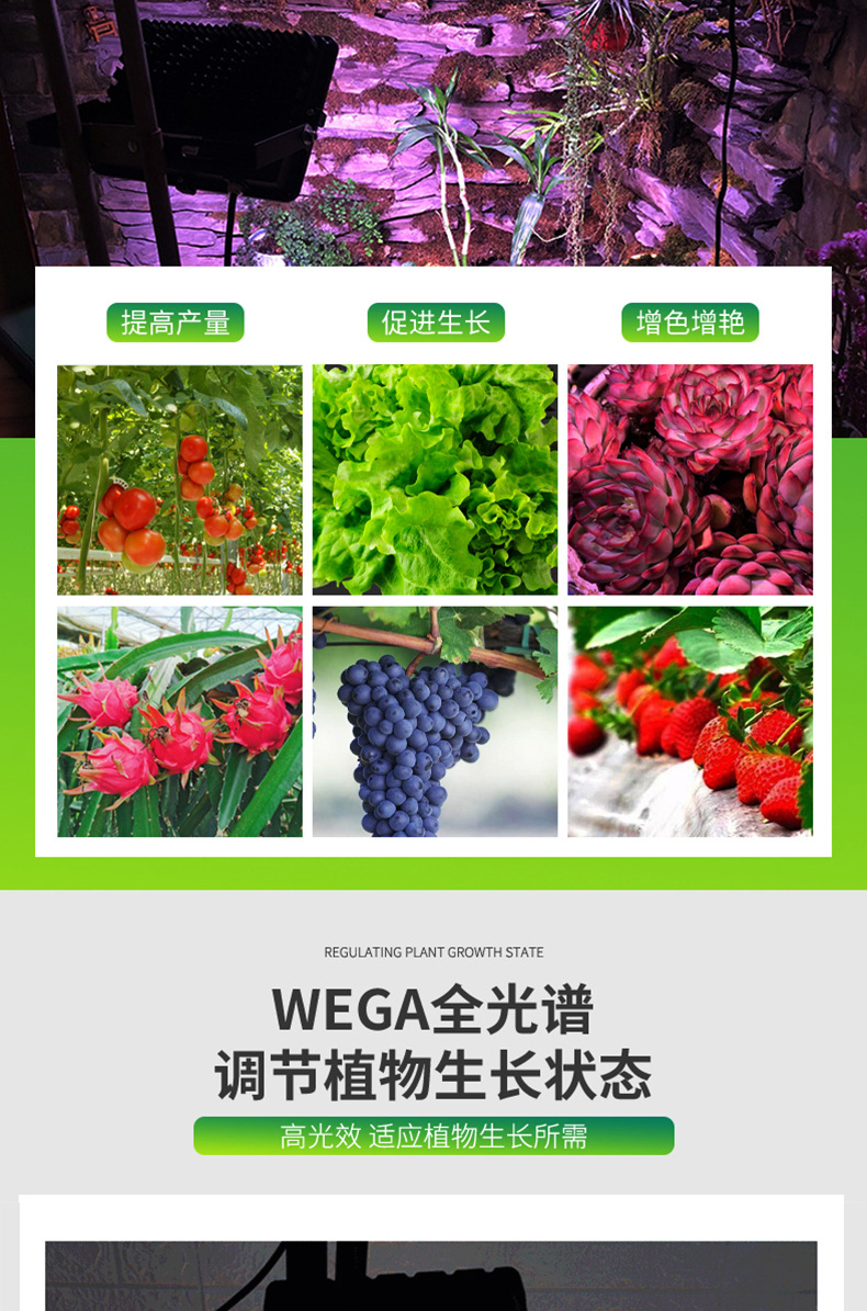 Solar floodlights, indoor greenhouse vegetable and succulent led outdoor full-spectrum plant growth lights, supplementary lighting lights pic 11