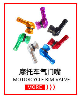Bicycle valve adapter, bicycle air pump conversion nozzle, bicycle accessories, air nozzle valve adapter SV AV DV pic 11