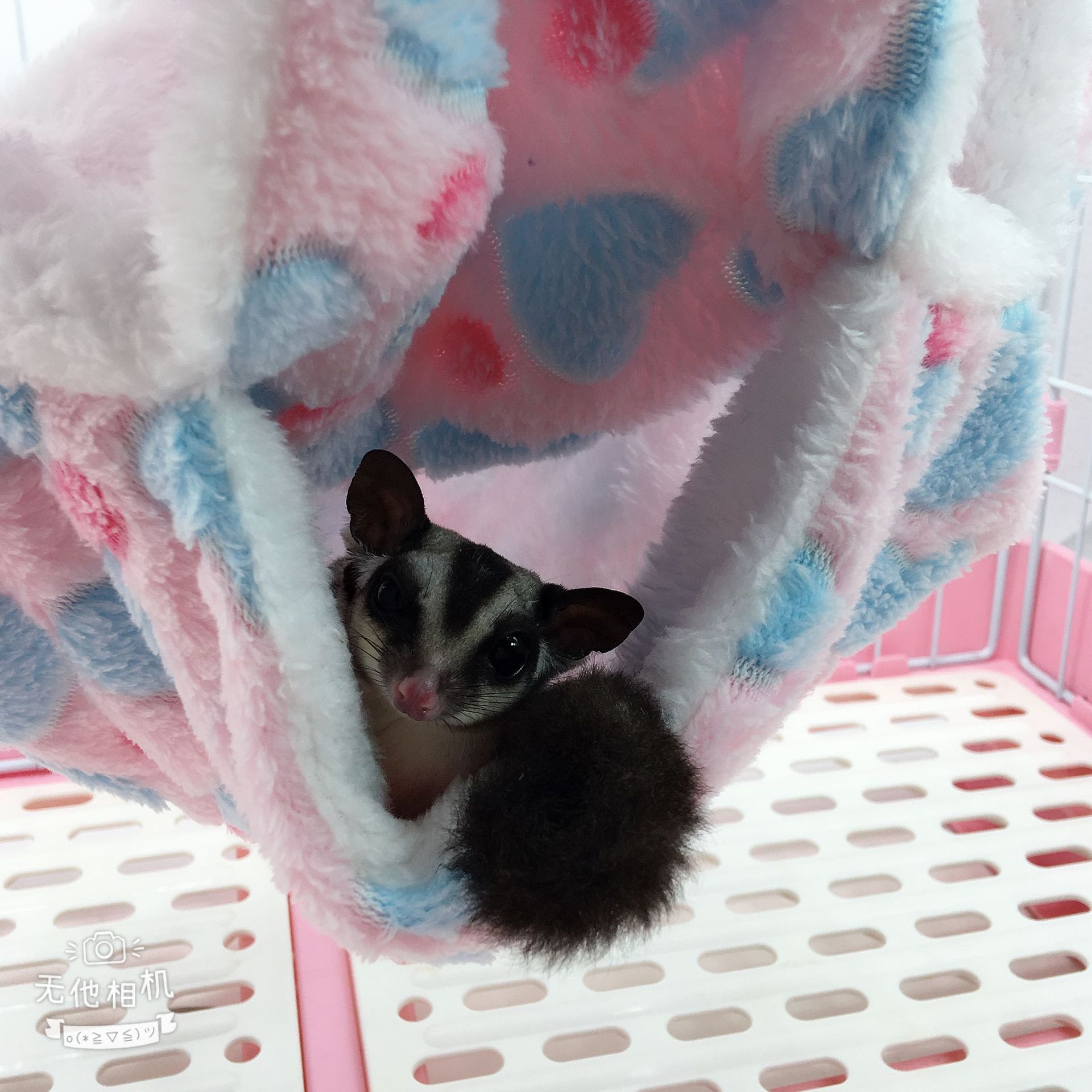 仓鼠吊床蜜袋鼯花枝鼠三层保暖吊床 悬挂式松鼠睡袋 小宠吊床详情7