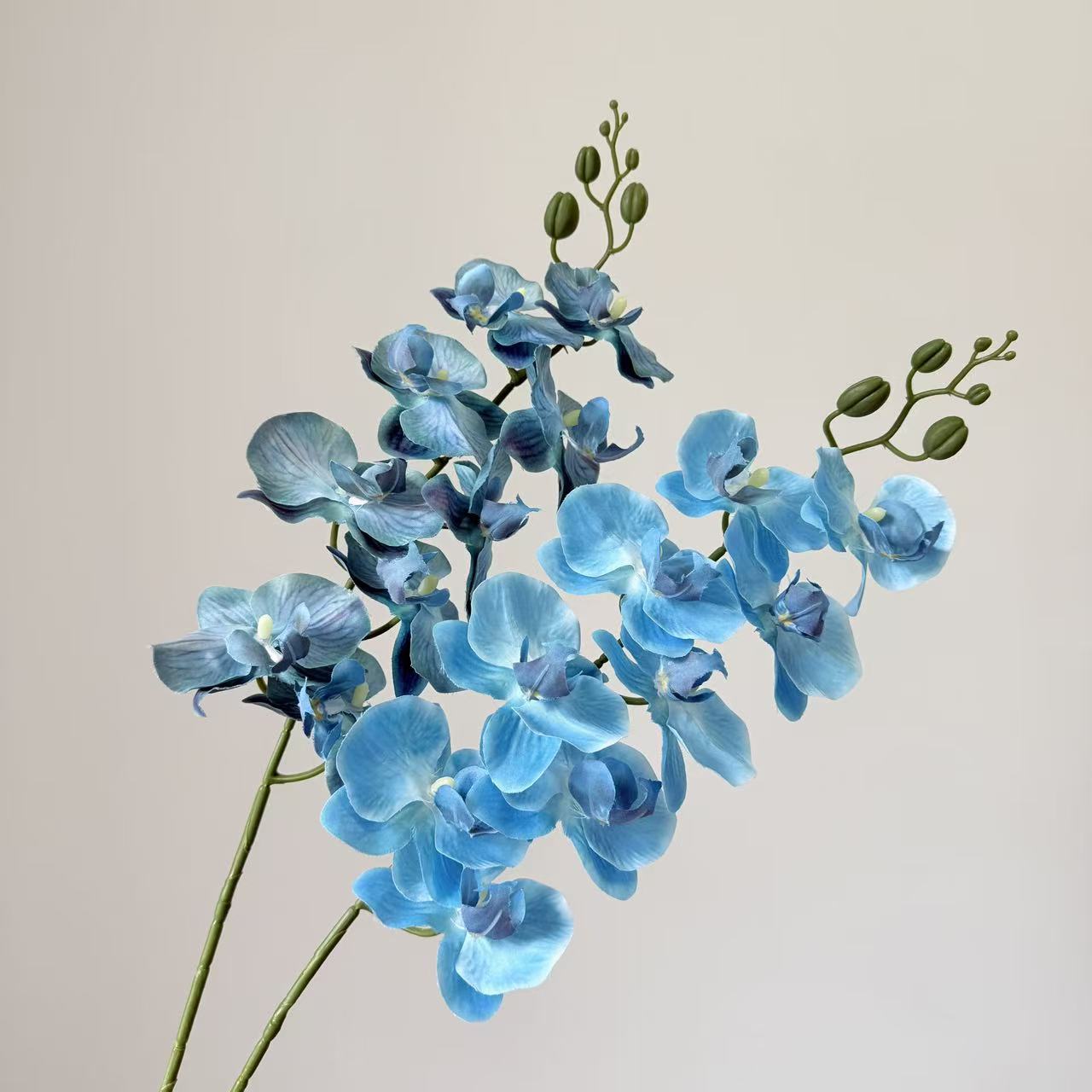 9头蝴蝶兰仿真花手感高级感逼真假花兰花艺场景布置酒店婚庆用花详情9