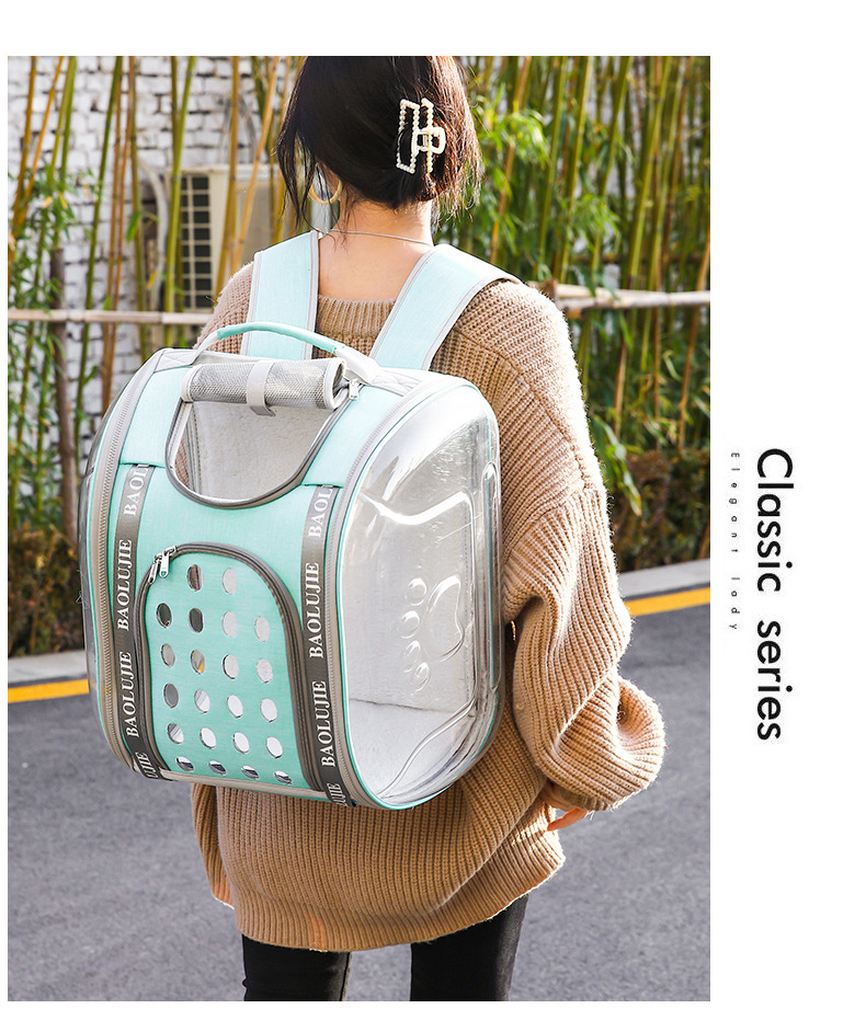 Pet bags, portable bags for going out, multi-purpose transparent space capsule hand-held cat bags, large-capacity two small cat backpacks pic 12