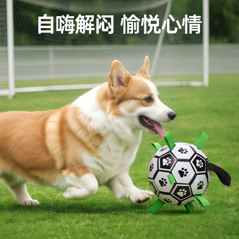 Dog toy balls, teething and biting resistant, dog football, outdoor special touring training balls, wholesale pet toys pic 2