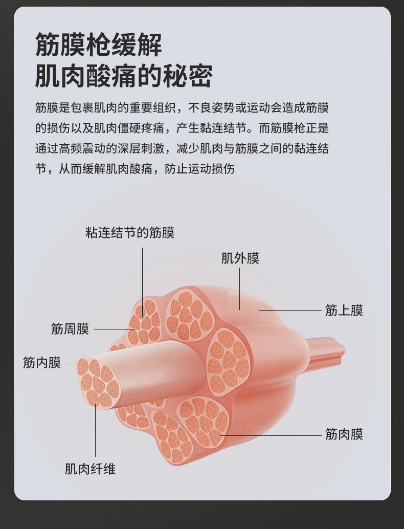 跨境筋膜枪肌肉放松按摩器男女迷你款小型专业mini颈膜枪放松肌肉详情8