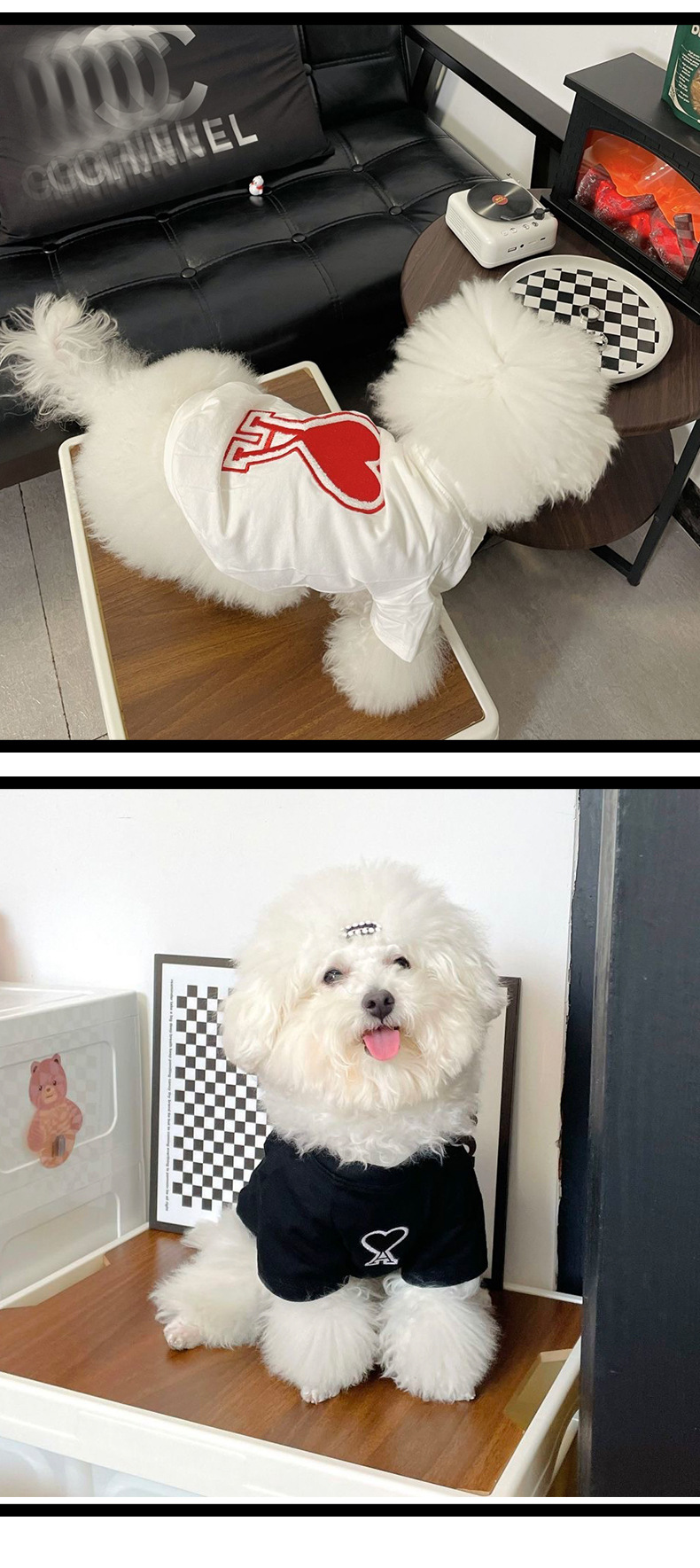 新款猫咪衣服狗狗衣服简约双面桃心泰迪博美猫咪小型犬春秋款衣服详情7