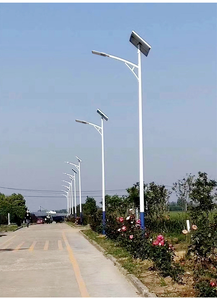 New rural 6-meter led solar street lamp factory outdoor waterproof garden lamp project lighting high-pole lamp street lamp customization pic 18