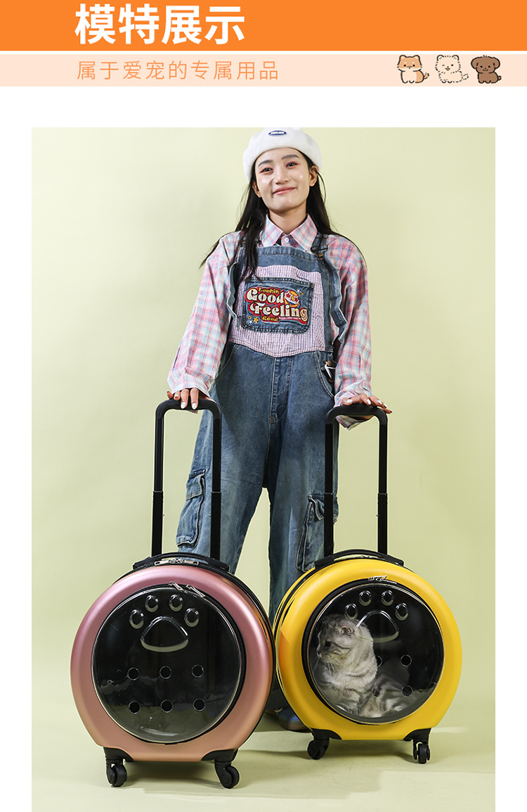 Pet trolley case, cat bag, portable trolley for going out, space capsule, transparent cat suitcase, cat trolley case pic 15