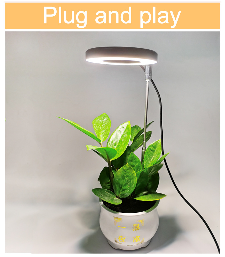 Angel Ring Plant Growth Lamp Telescopic pole full-spectrum USB timed dimming succulent bonsai plant supplementary light pic 49
