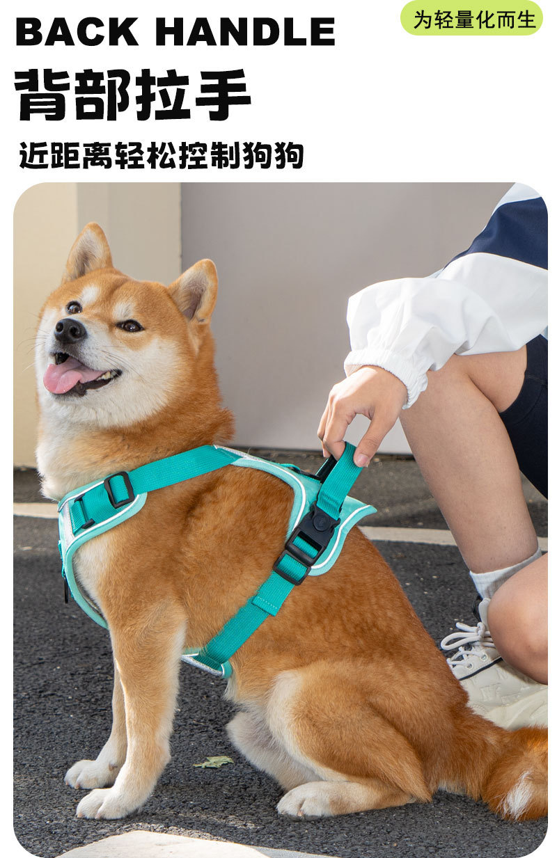 宠物胸背带狗绳牵引绳伸缩带遛狗绳宠物牵引用品舒适耐用适用中大型犬详情8