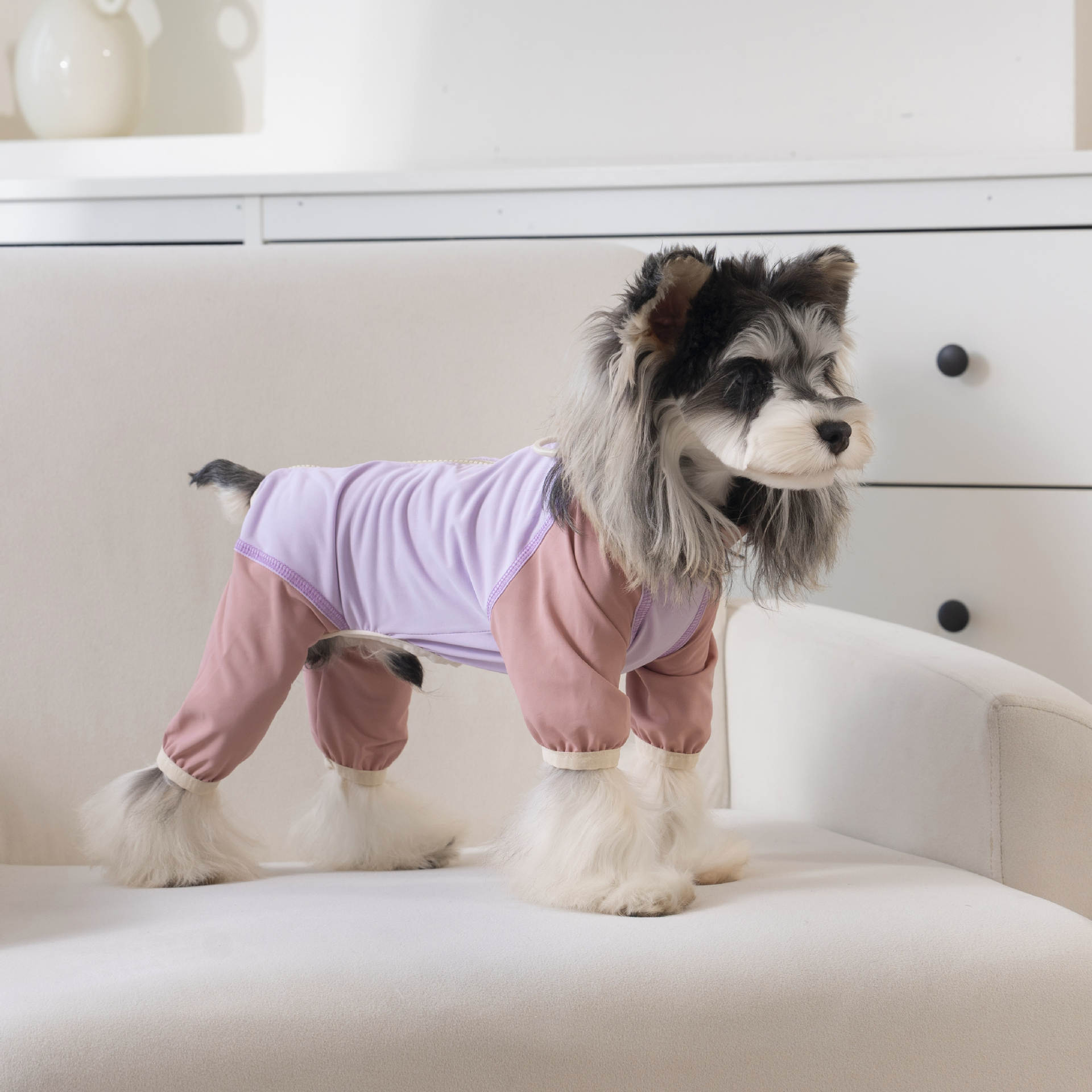 春夏新款小型犬四脚衣冰丝凉感服 泰迪比熊雪纳瑞宠物服装详情15