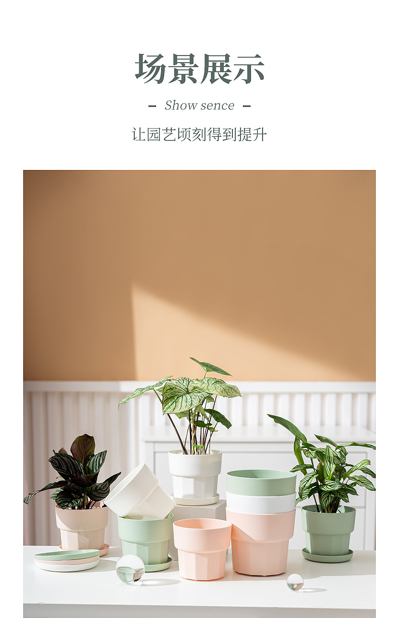 国潮北欧简约风绿萝多肉花盆塑料树脂加厚耐摔厂家直销特价桌面花盆详情12