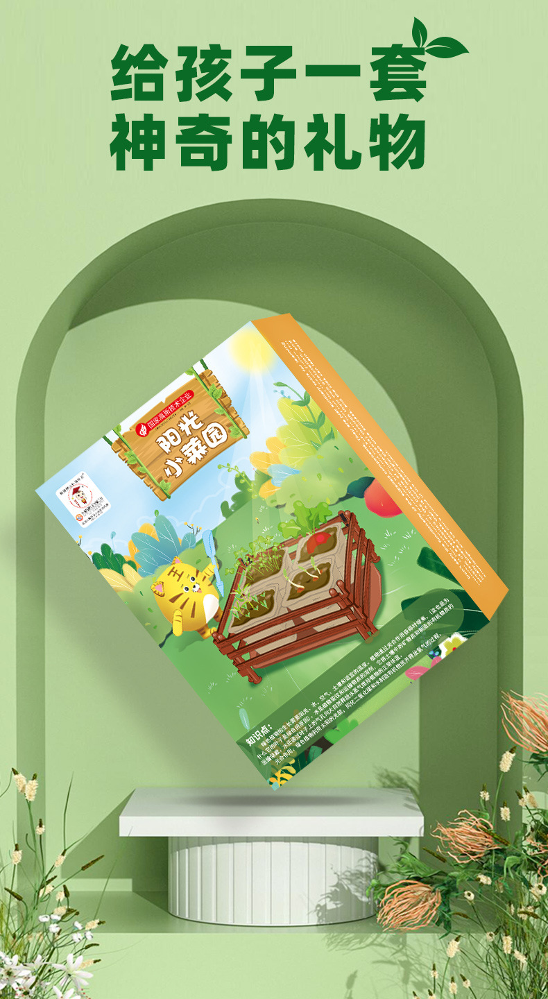Sunshine Little Vegetable Garden Wooden Science Experiment Set DIY Dragon Boat Planting Science and Technology Small Experiment Toys pic 6
