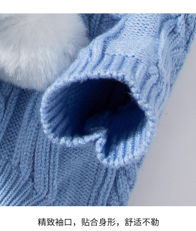 猫咪秋冬季连帽针织衫防掉毛猫咪衣服幼猫银渐层暹罗猫英短布偶猫详情16