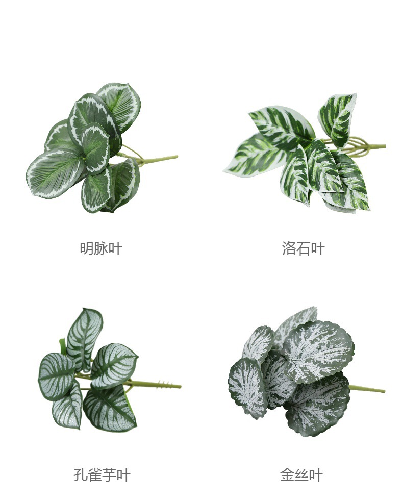 仿真绿植物镜片叶子圆贝叶中壁挂仿真绿植 婚庆造景搭配装饰树叶详情5