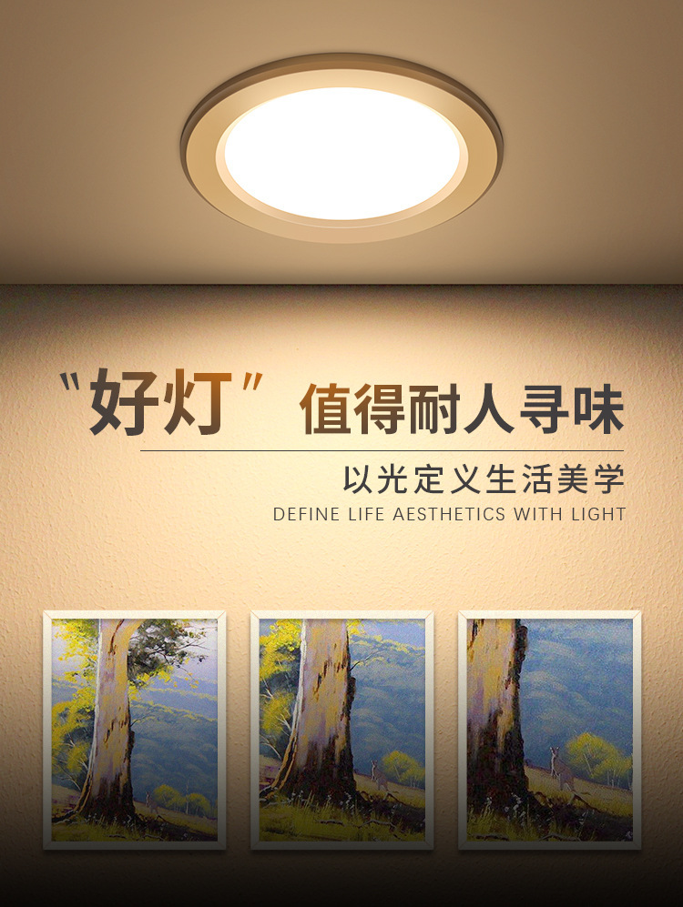 FSL Foshan Lighting led downlights, home living room ceiling lights, ceiling hole lights, recessed hole lights, corridor lights pic 7