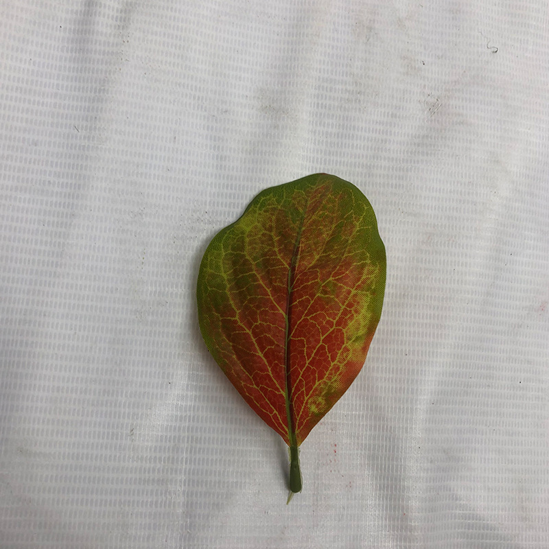 仿真柿子树叶假树枝大型植物装饰叶子室内外彩色柿子叶工程用道具详情7