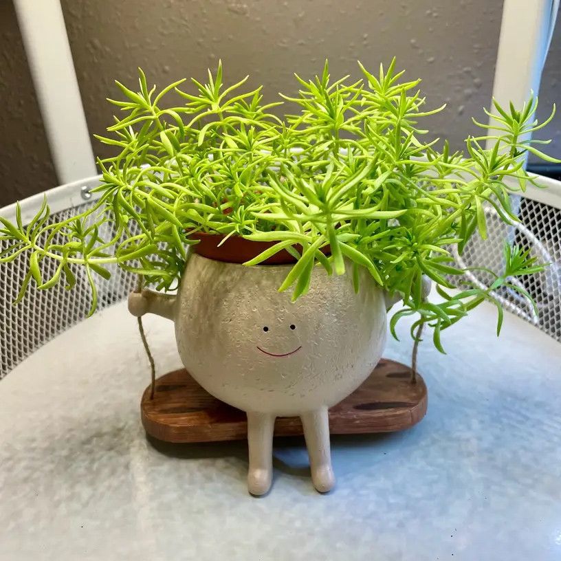 Succulent flowerpots with cute smiling faces, swing flowerpots, personalized decoration, creative hanging hydroponic flowerpots, balcony decoration pic 6