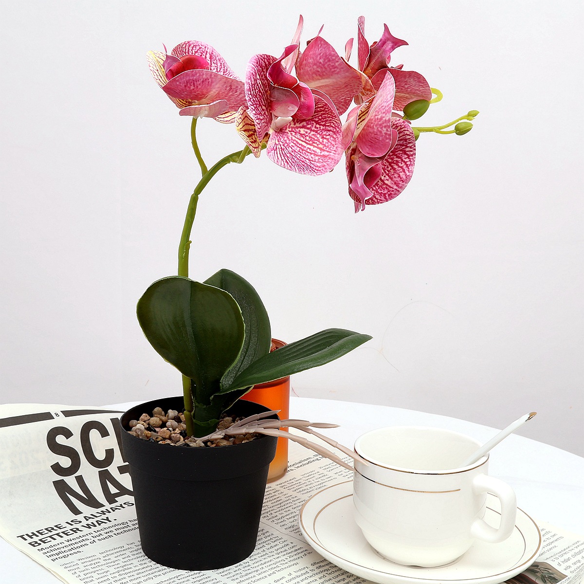 工厂批发家居装饰仿真蝴蝶兰盆景假花仿真蝴蝶兰盆栽仿真盆栽植物详情4