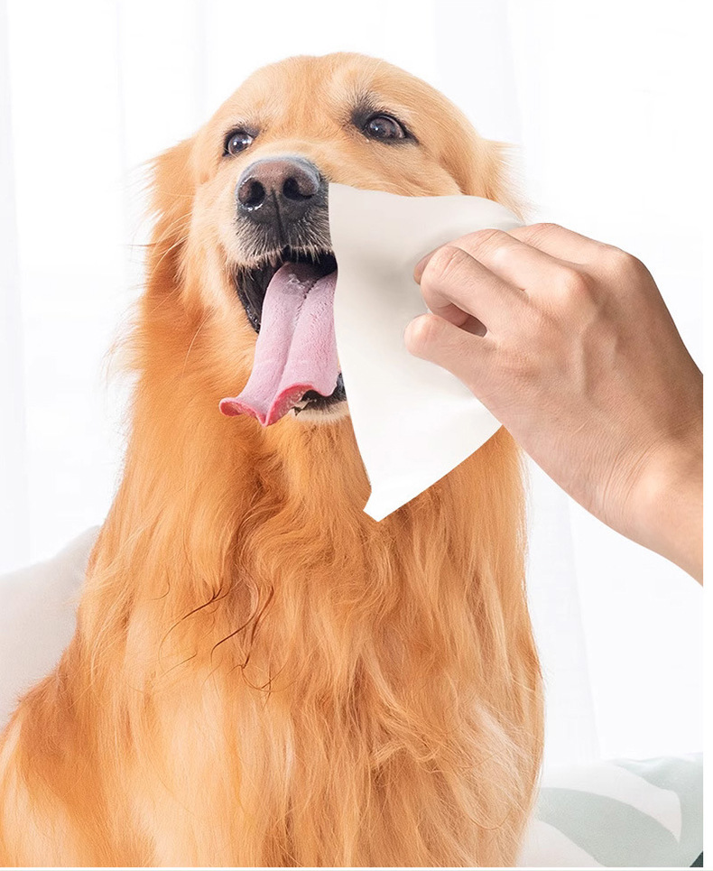 Lemickey pet wet wipes 100-bottle no-rinse clean Tear stains. Special wet wipes for cats and dogs, absorbing water to remove tear stains pic 9