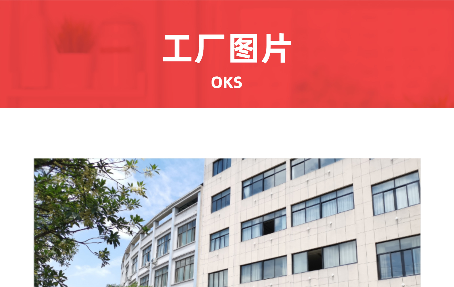 厂家批发刷洗大王洗碗海绵擦清洁海绵块海绵百洁布清洁用品OKS详情11