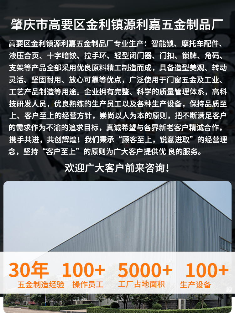 304隐形门合页带闭门器缓冲阻尼弹簧铰链自动闭门器隐形合页详情1